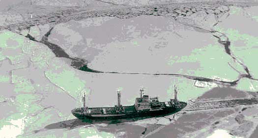 Море покрытое льдом