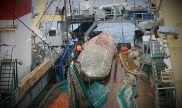 Выборка трала на рыбацкое судно в шторм