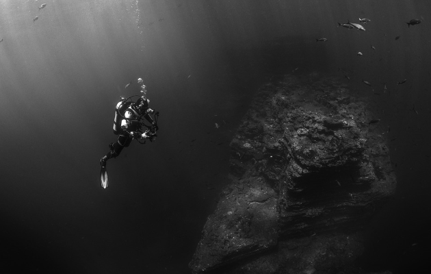 Морские глубины обои