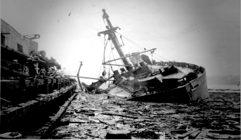 Гранкан – Селитровая катастрофа Техас-Сити