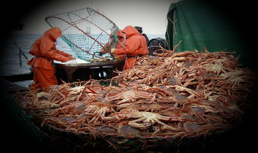 Ловля крабов