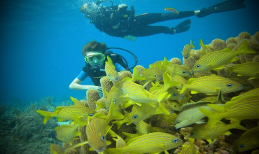 Подводный туризм