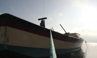 Вмешательство в действия лоцмана во время проводки судна