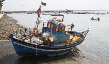 Описание видов кровотечений и способы их остановки в судовых условиях