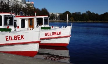 Лесные грузы