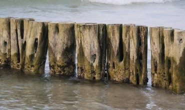 Кожно-венерологические заболевания