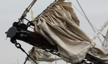 Деревянные исполины