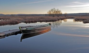 Гирокомпас “Стандарт-14”