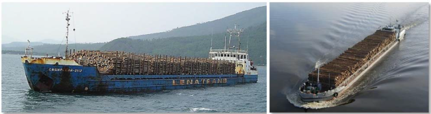 Сухогрузное судно Timber carrying vessel