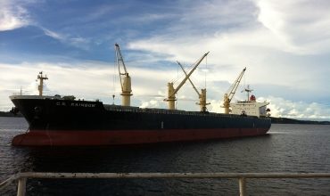 Нелегальные пассажиры на судне