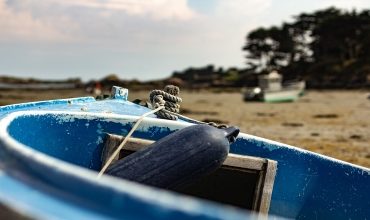 Ремонт паровых и газовых турбин в рыбной промышленности