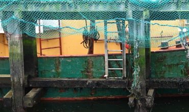 Термостойкие покрытия для судов и кораблей в суровых климатических условиях