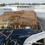 Морская перевозка лесных грузов