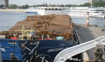 Транспортные характеристики и особенности перевозки леса морем