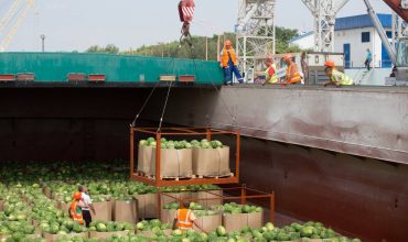 Режимы перевозки овощей и фруктов морем