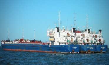 Классификация, характеристики и размеры сухогрузов