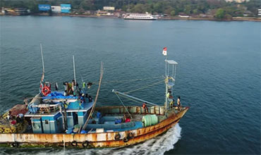 Вопросы и ответы к Seagull CES тесту по теме Integrated Survey Program (ISP)