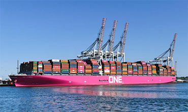 Вопросы и ответы к Seagull CES тесту по недопущению нанесения повреждений перевозимым грузам