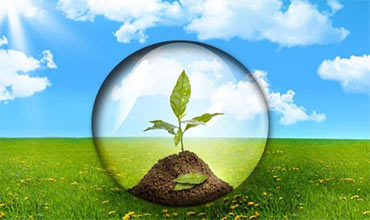 Questions and answers to Crew Evaluation System Test about International Organization for Standardization 14001