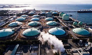 Liquefaction Plant of Natural Gas and Regasification Terminal Operations