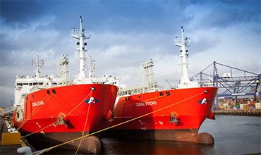 Transportation of the Petroleum Gas and Amonia Cargoes on the Fully-Refrigerated LPG Ships