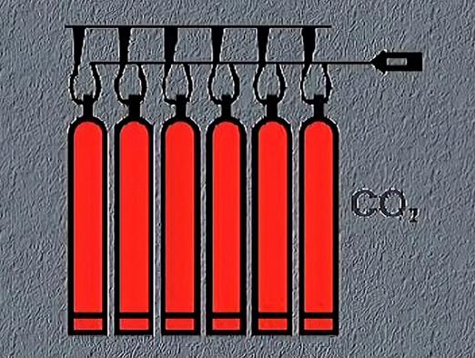 Fixed carbon dioxide