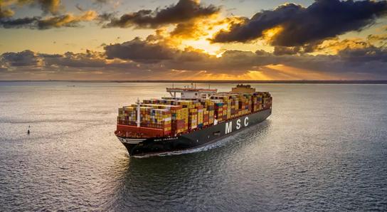 Crew Evaluation System CBT test online for seamans about Lifestyle Assessment and Advice