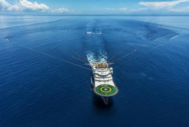 Вопросы и ответы к Seagull CES тесту для палубного департамента, уровень управление, сейсморазведка