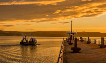 CES - Engine, Management, Electrical Electronic & Control