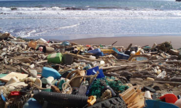 Вопросы и ответы к Seagull CES CBT тесту по предотвращению загрязнений морской среды