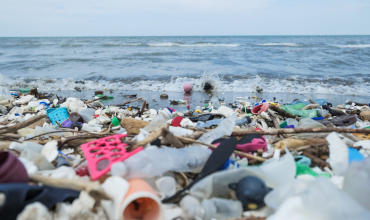 Crew Evaluation Test online for seamans about Marine Ecology, Environmental Awareness