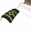 Chief Officer Epaulette