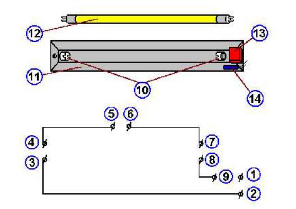 Scheme of fluorescent light