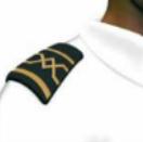 Epaulette of Master