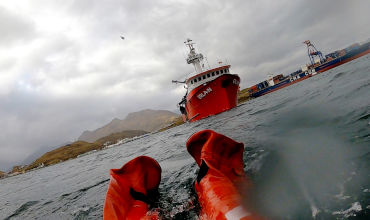 CES - Survival (Advanced)