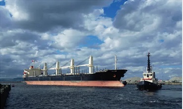 TOTS 1B-Cargo Information and Precautions