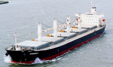 Common Bulk Cargoes