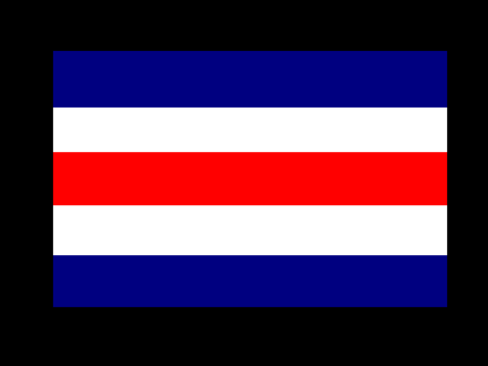Special flag 1