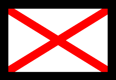 Special flag 20