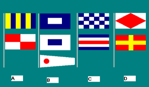 Special flags 1