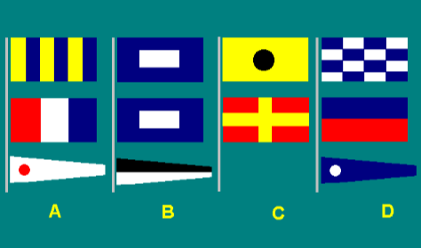 Special flags 2