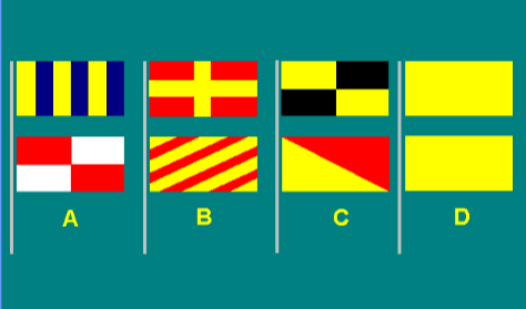 Special flags 3