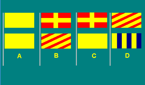Special flags 4