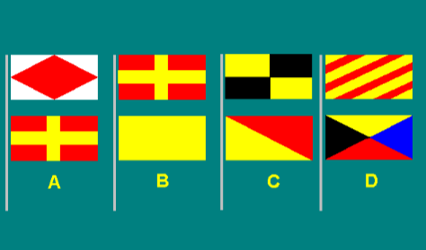 Special flags 5