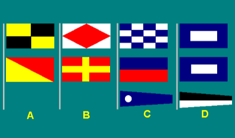 Special flags 6