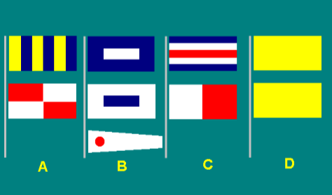 Special flags 7