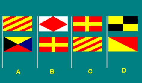 Special flags 8