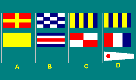 Special flags 9