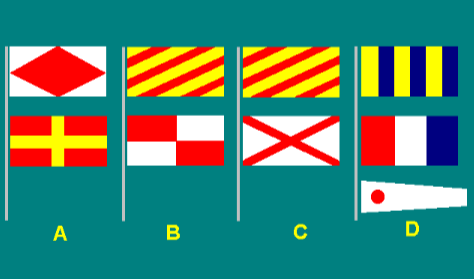 Special flags 10