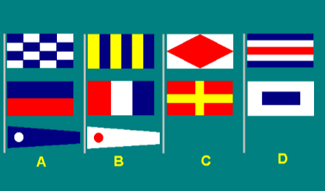 Special flags 11